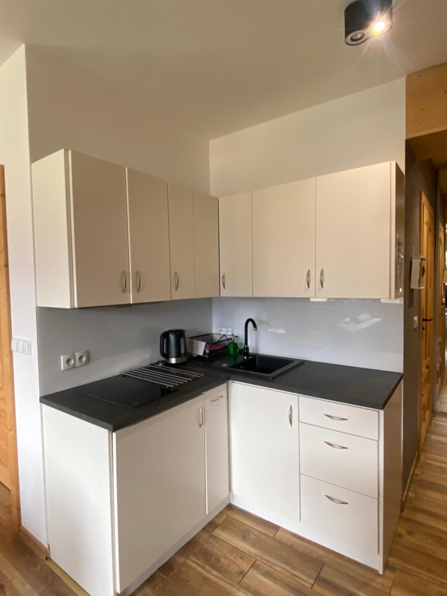 Ferienwohnung Siwa Skala Kościelisko Exterior foto