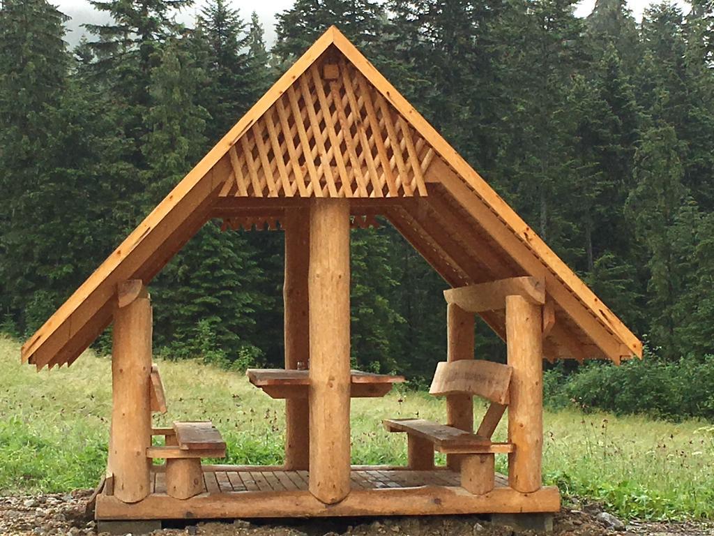 Ferienwohnung Siwa Skala Kościelisko Exterior foto